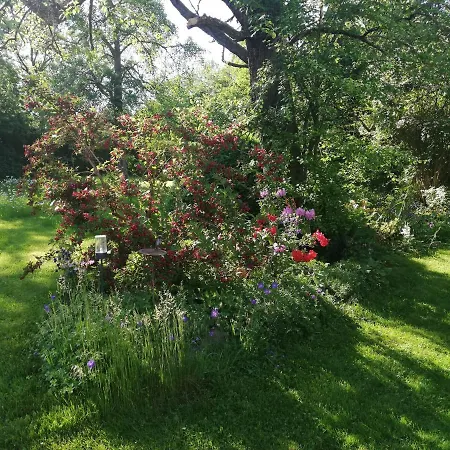 Anna - Neue Mit Blick Ins Gruene Appartement *