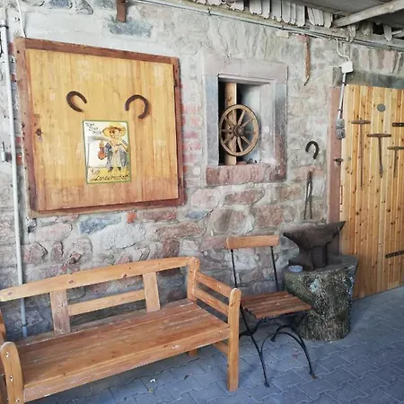Anna - Neue Mit Blick Ins Gruene Appartamento Ober-Abtsteinach